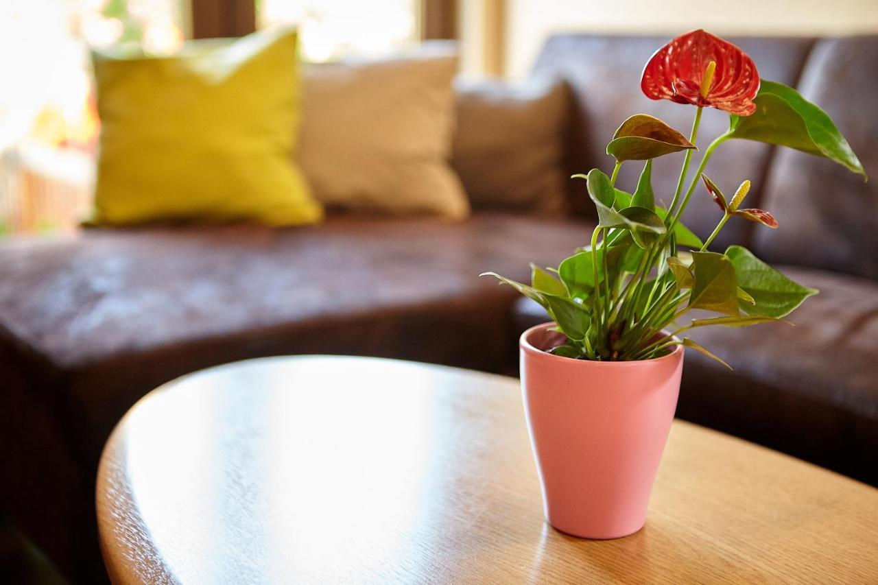 Apartament Rozelor Braszów Zewnętrze zdjęcie